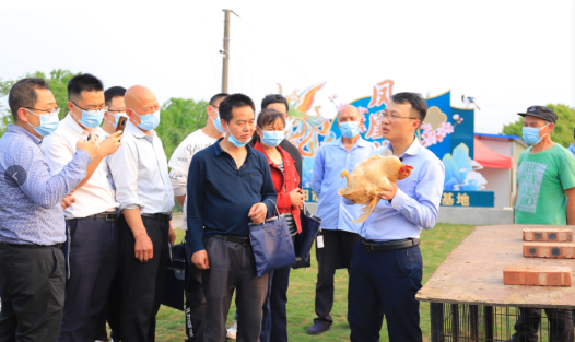 bevictor伟德官网