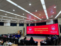 bevictor伟德官网