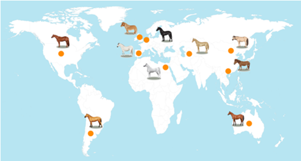 bevictor伟德官网