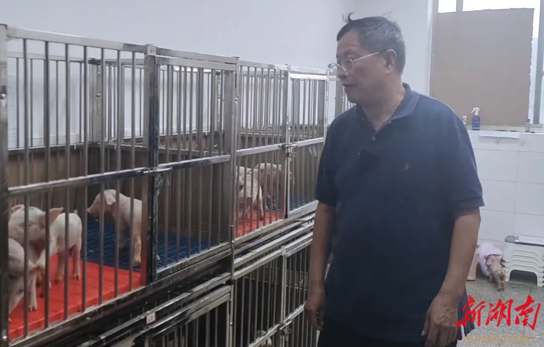 bevictor伟德官网