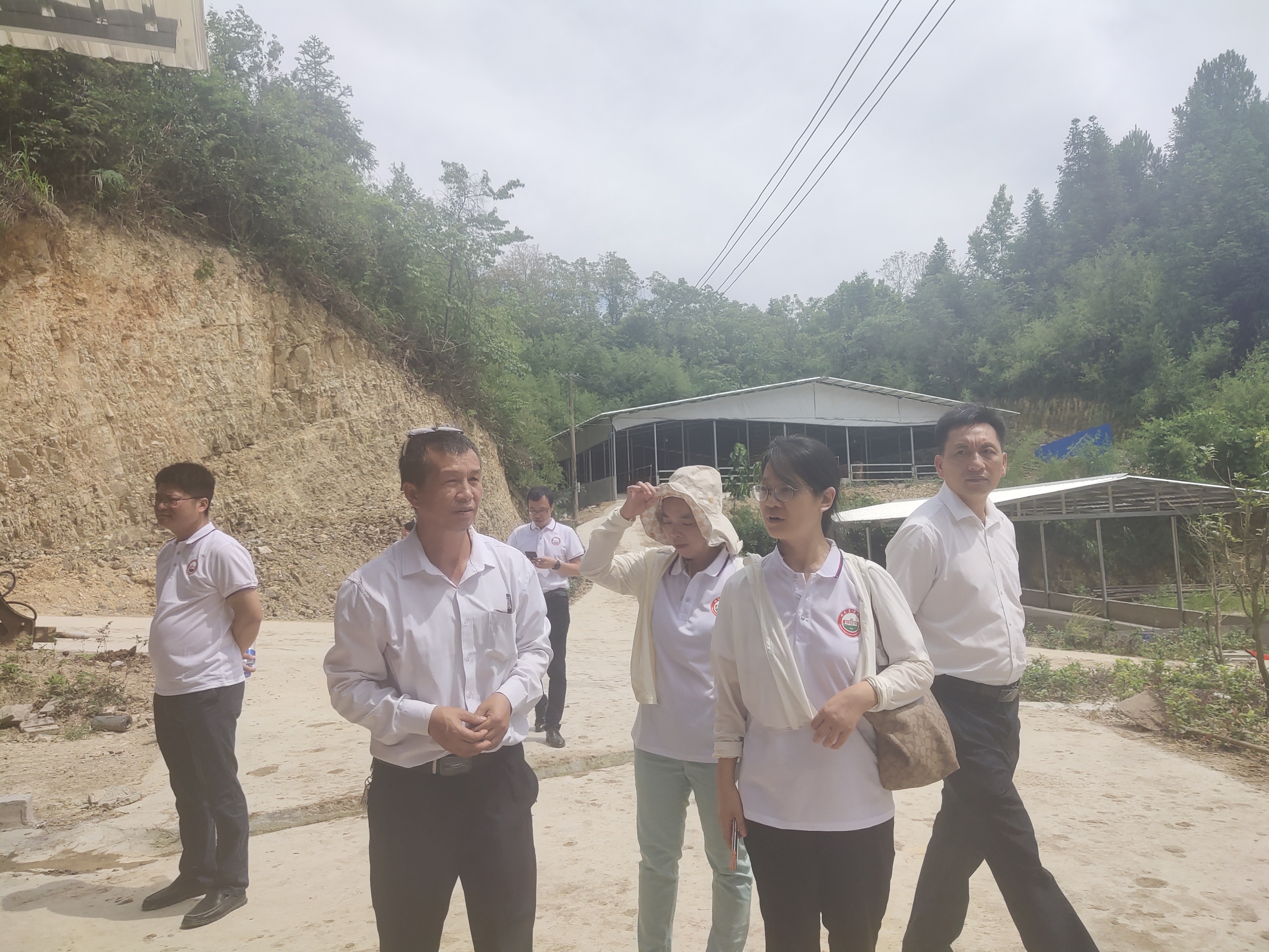 bevictor伟德官网