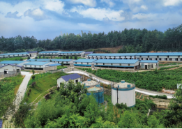 bevictor伟德官网