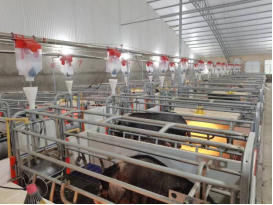 bevictor伟德官网