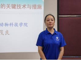 bevictor伟德官网