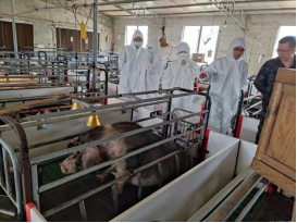 bevictor伟德官网