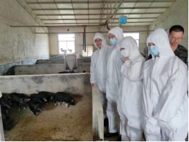 bevictor伟德官网