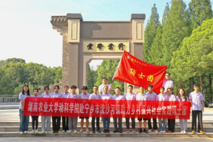 bevictor伟德官网