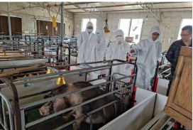 bevictor伟德官网