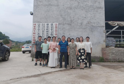 bevictor伟德官网