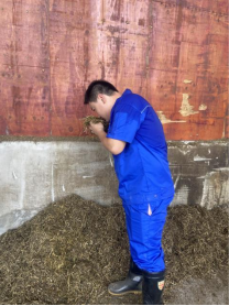 bevictor伟德官网