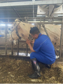 bevictor伟德官网