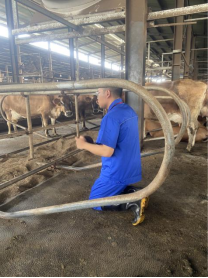 bevictor伟德官网