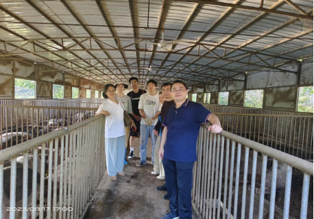 bevictor伟德官网