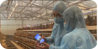 bevictor伟德官网