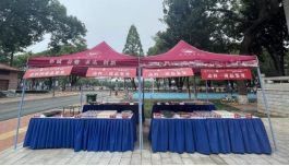 bevictor伟德官网