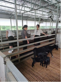 bevictor伟德官网