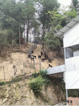 bevictor伟德官网