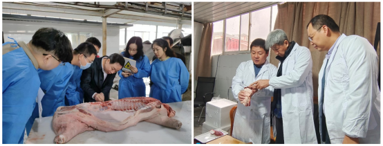 bevictor伟德官网