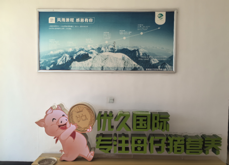 bevictor伟德官网