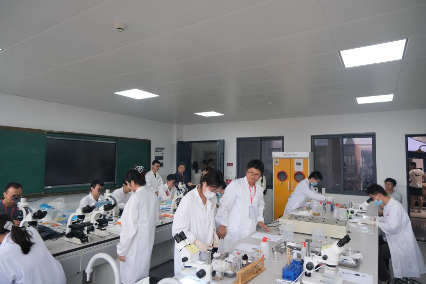 bevictor伟德官网