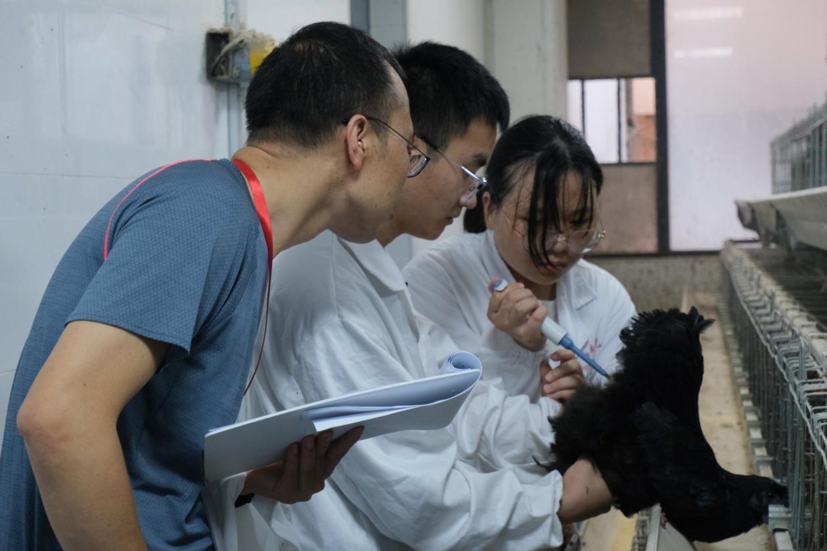 bevictor伟德官网