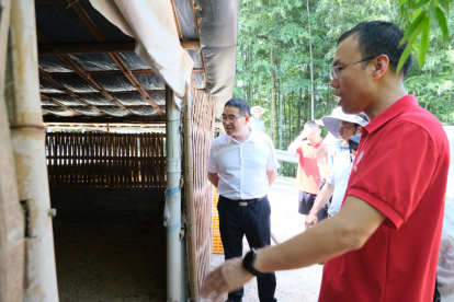 bevictor伟德官网