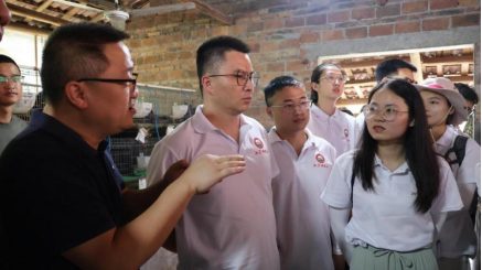 bevictor伟德官网