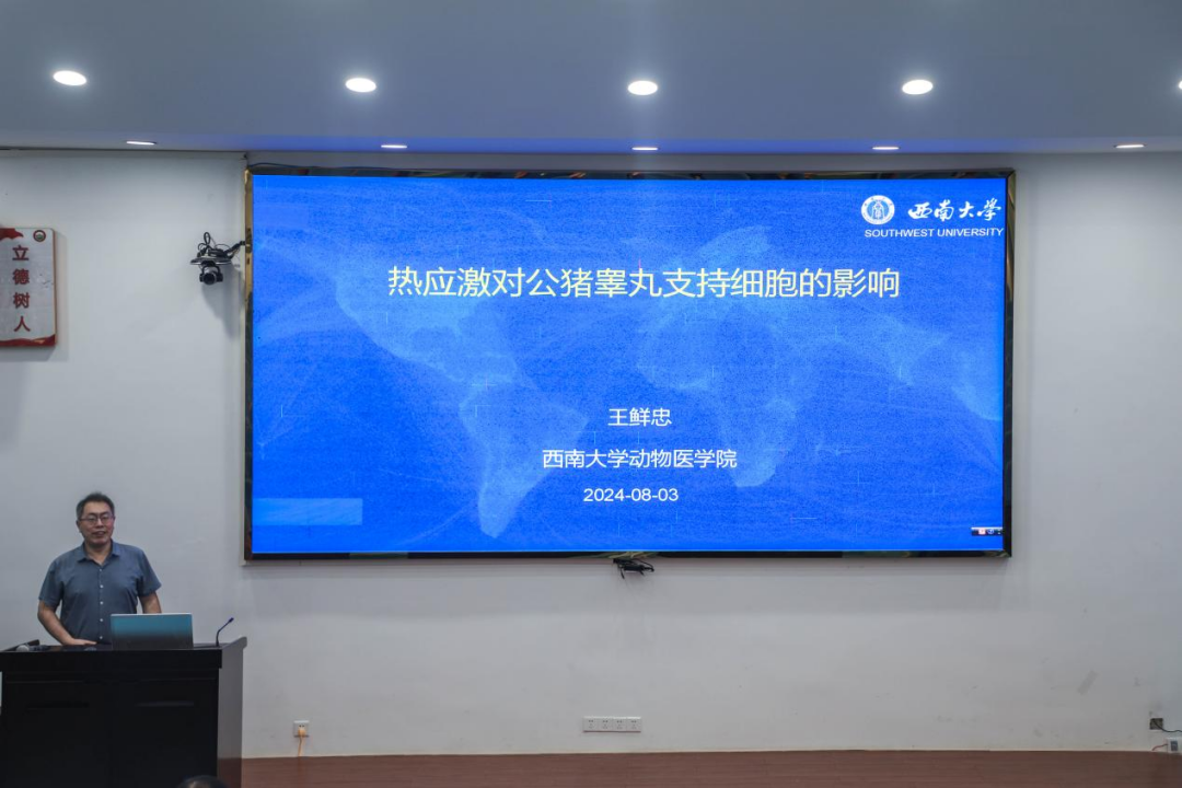 bevictor伟德官网