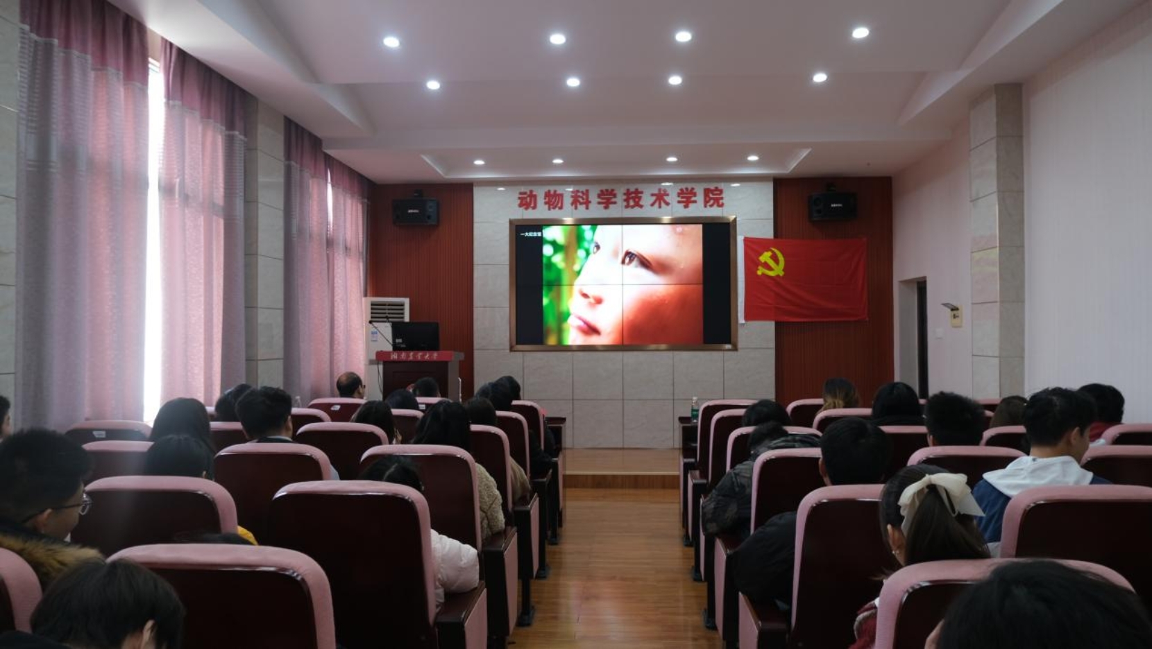 bevictor伟德官网