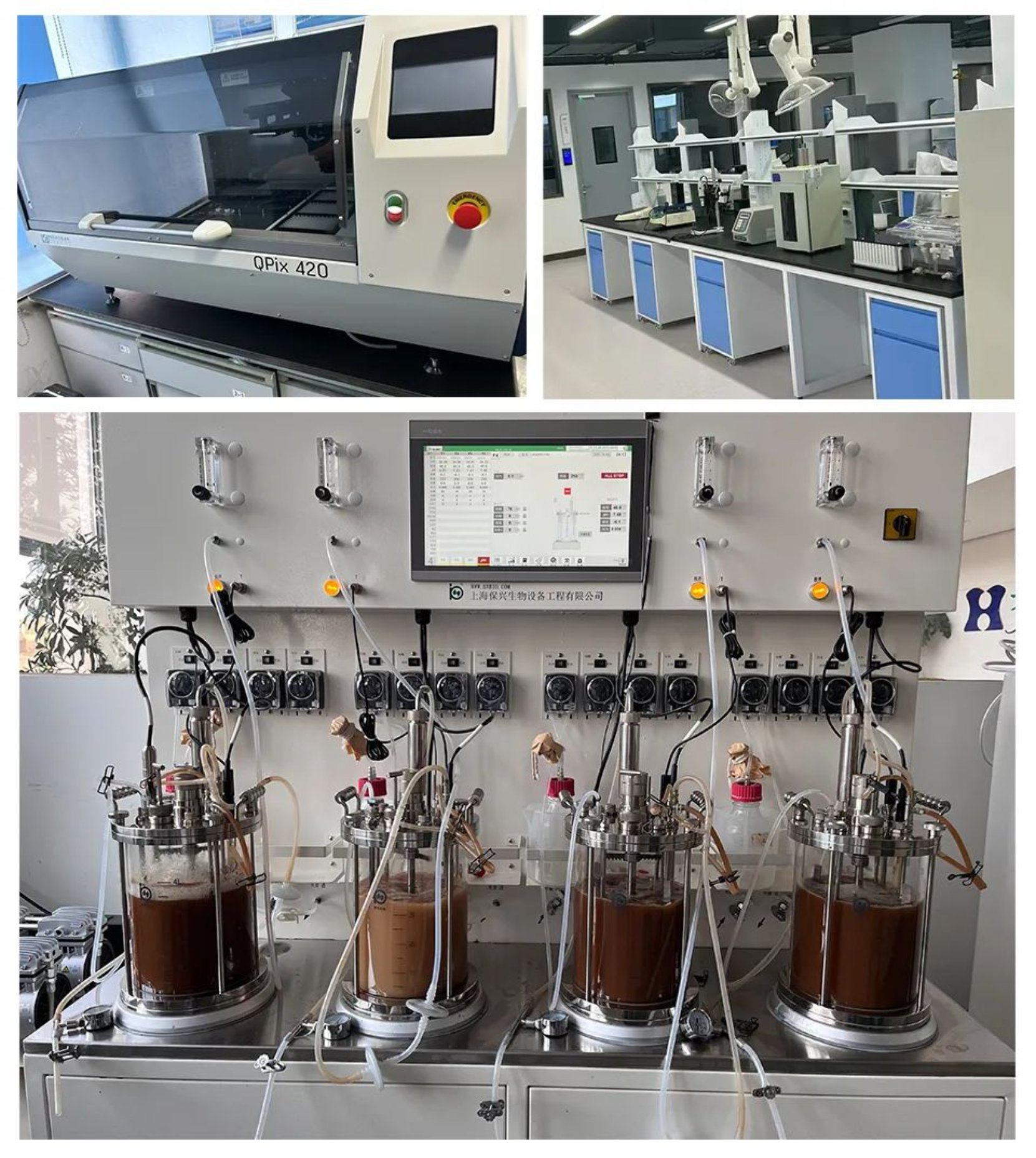 bevictor伟德官网