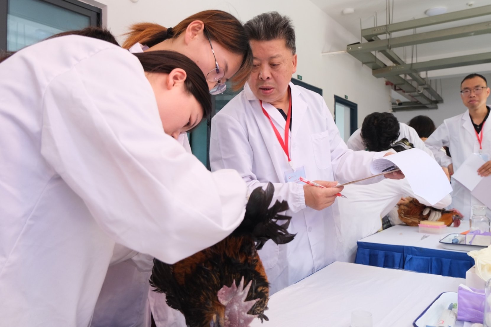 bevictor伟德官网