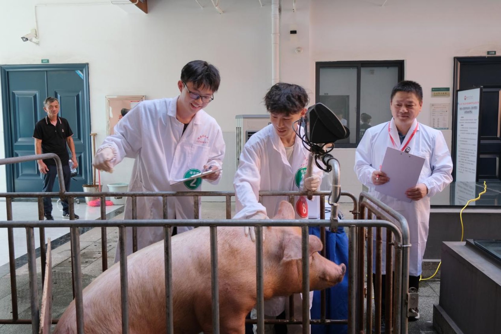 bevictor伟德官网