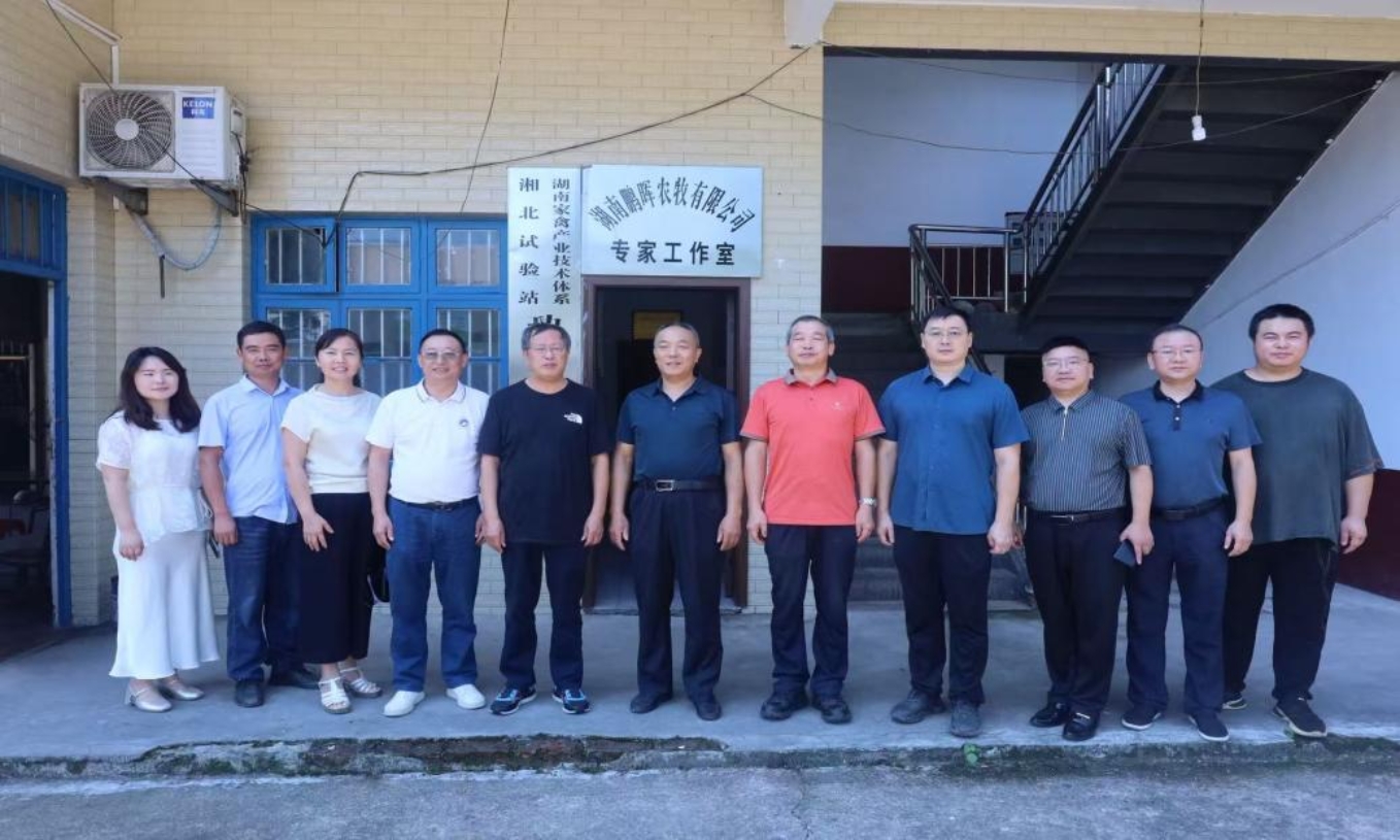 bevictor伟德官网