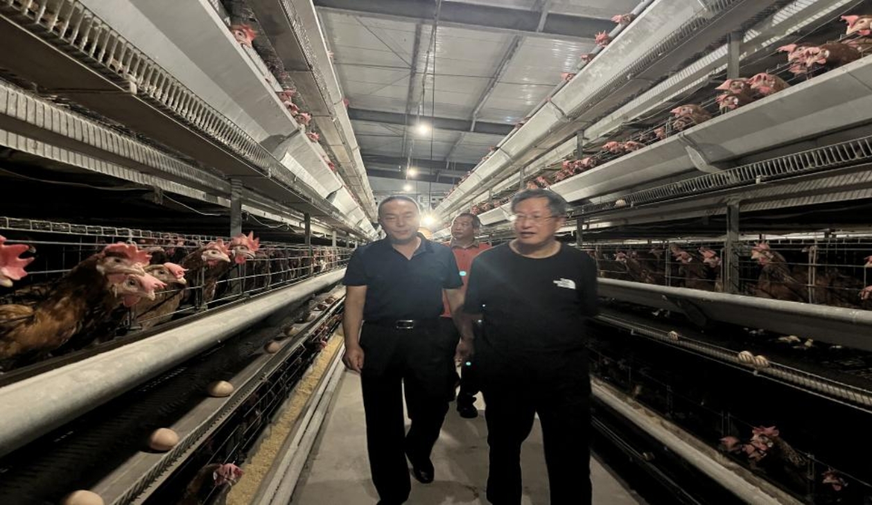 bevictor伟德官网