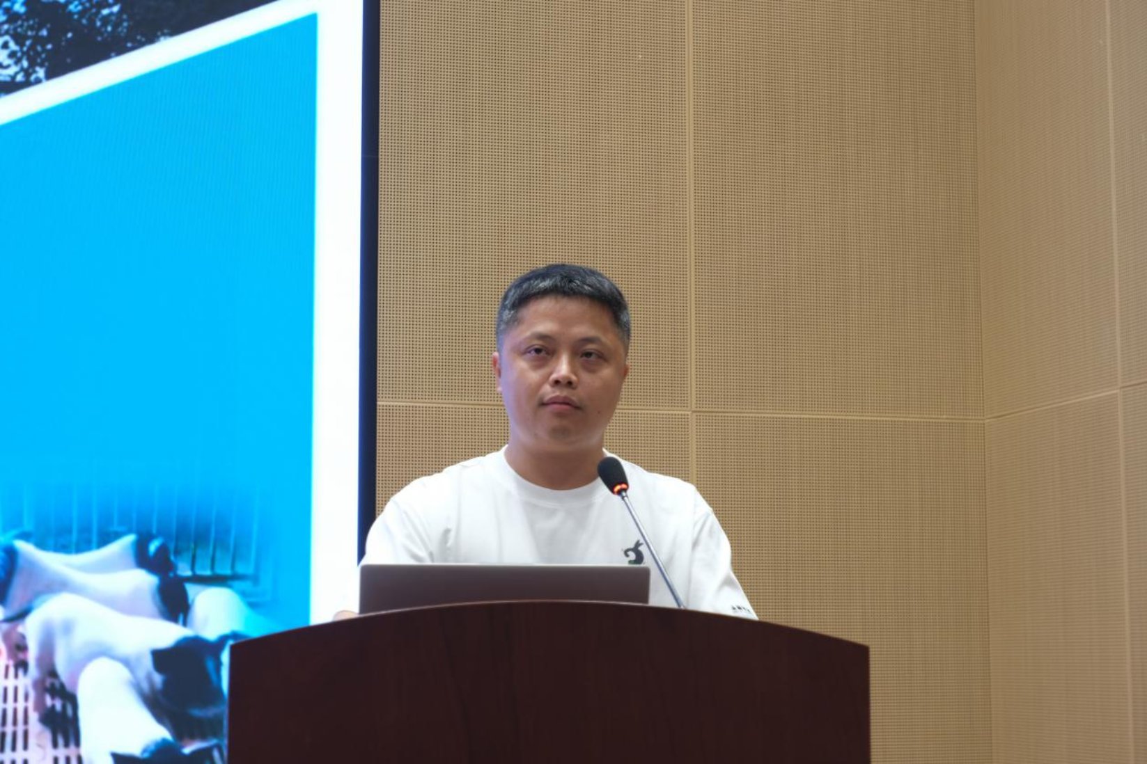 bevictor伟德官网