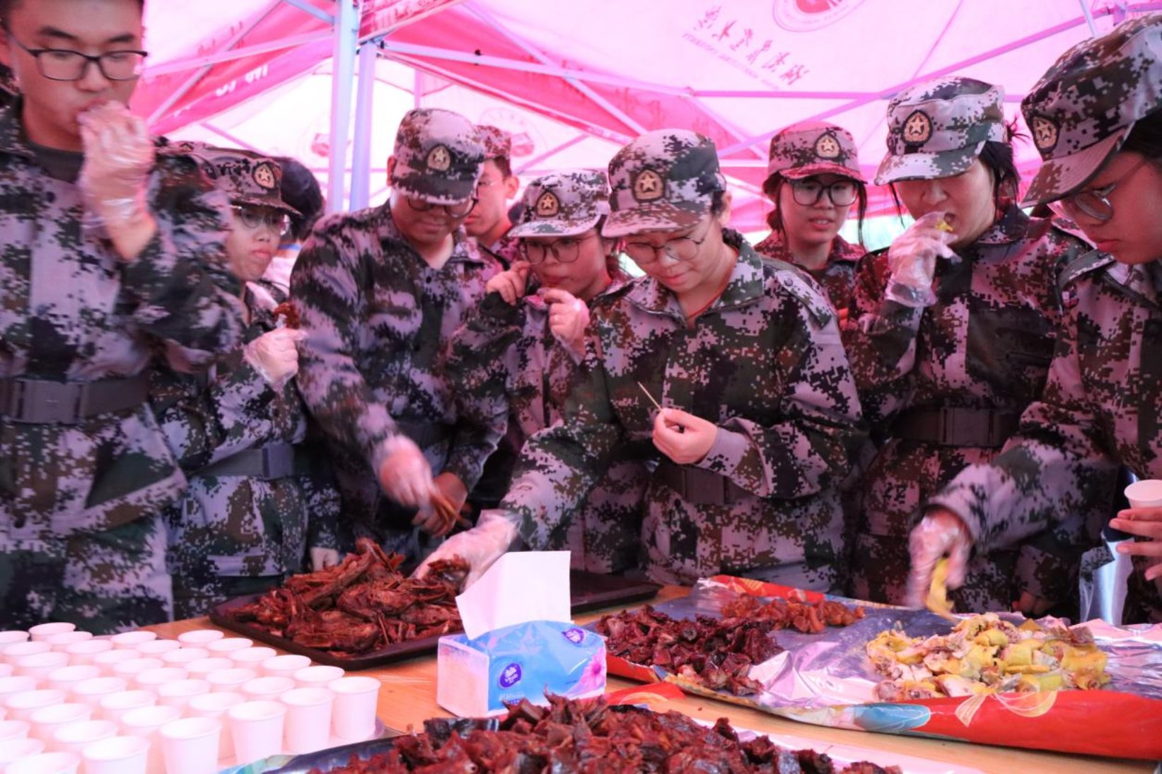 bevictor伟德官网