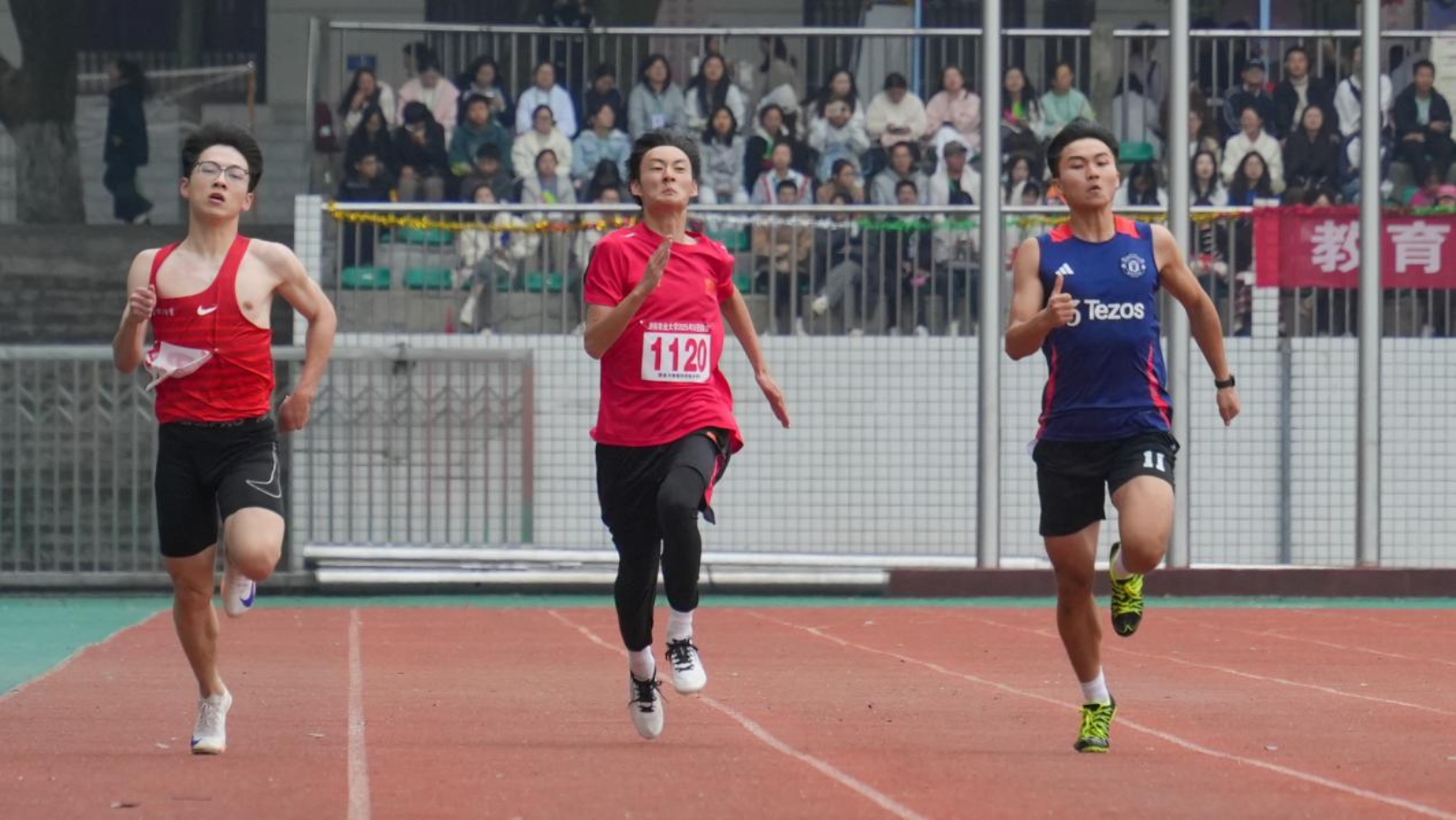 bevictor伟德官网