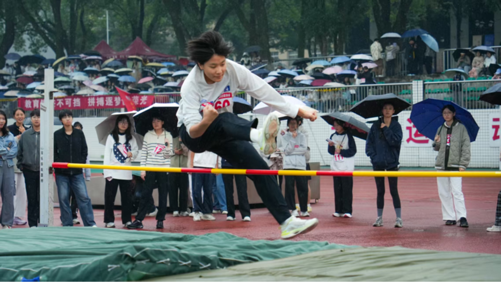 bevictor伟德官网