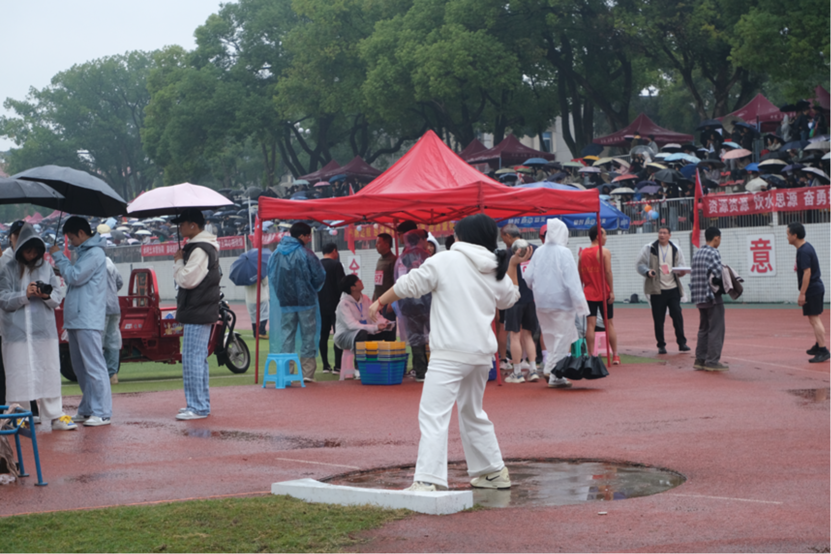 bevictor伟德官网