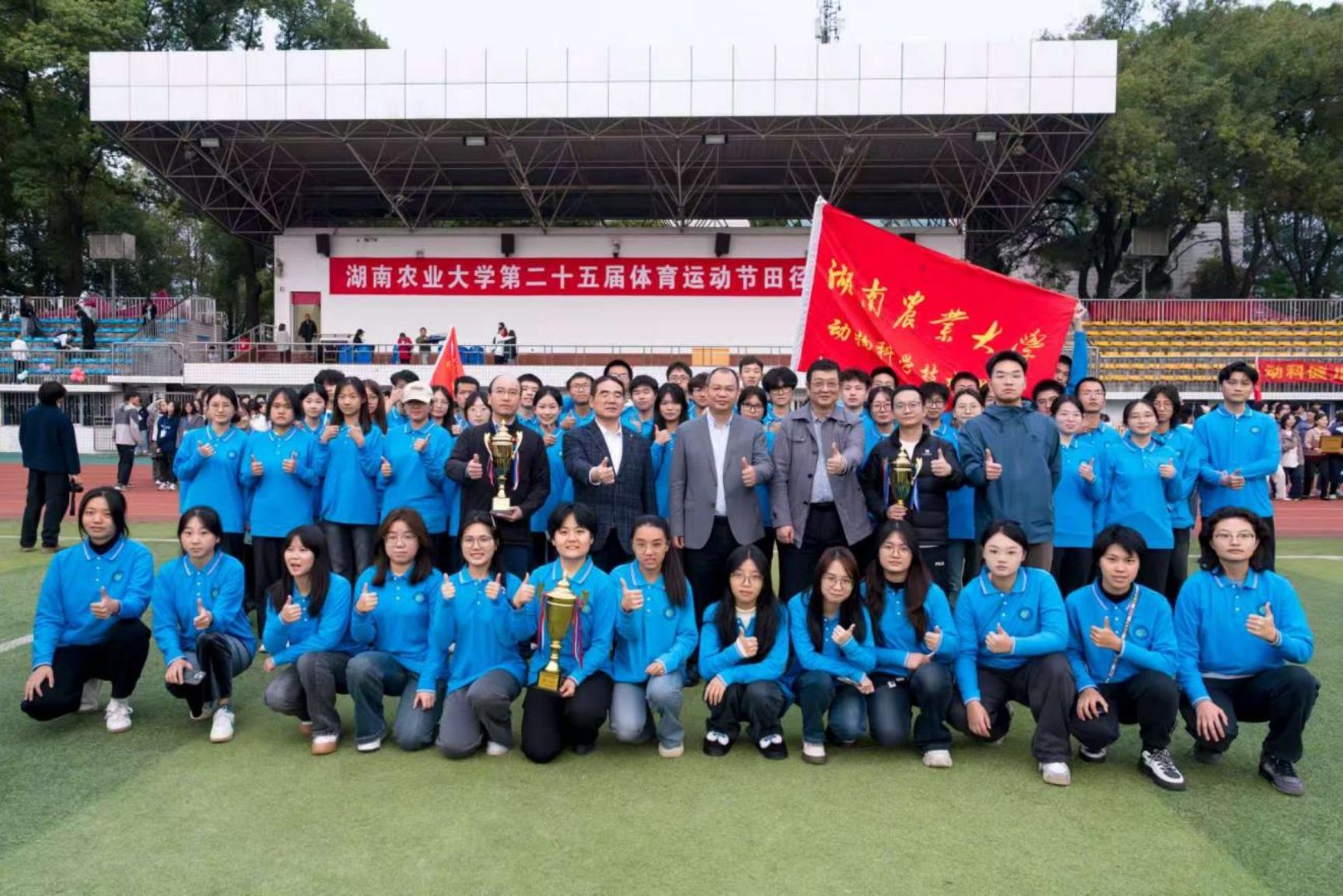 bevictor伟德官网