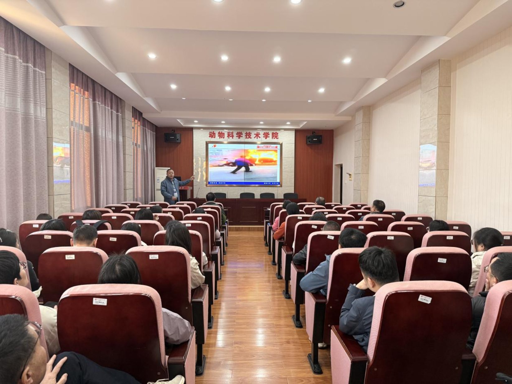 bevictor伟德官网