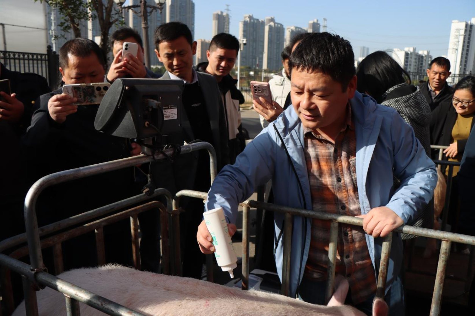 bevictor伟德官网