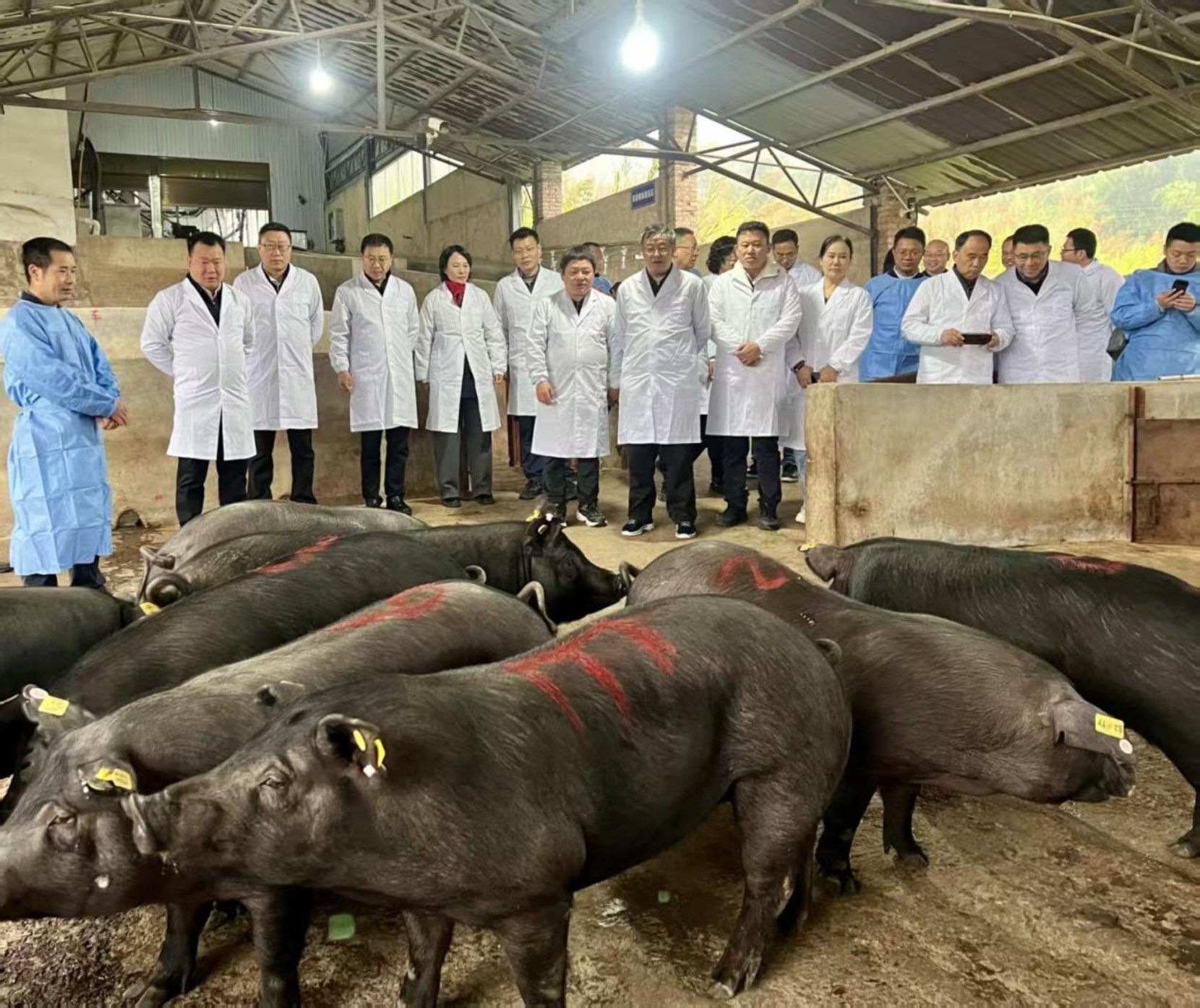 bevictor伟德官网