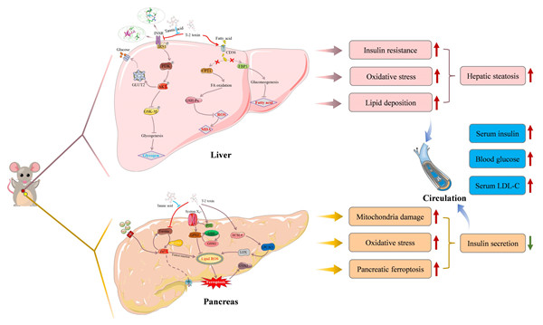 bevictor伟德官网