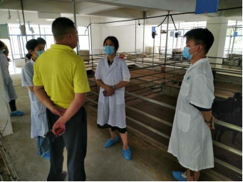 bevictor伟德官网