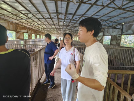 bevictor伟德官网