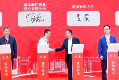 bevictor伟德官网