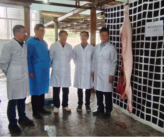 bevictor伟德官网