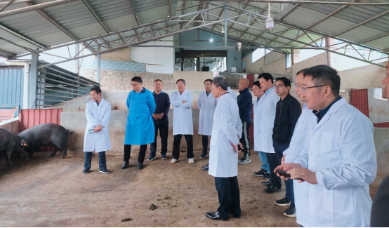 bevictor伟德官网