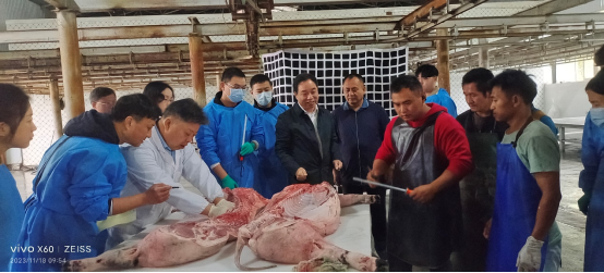 bevictor伟德官网